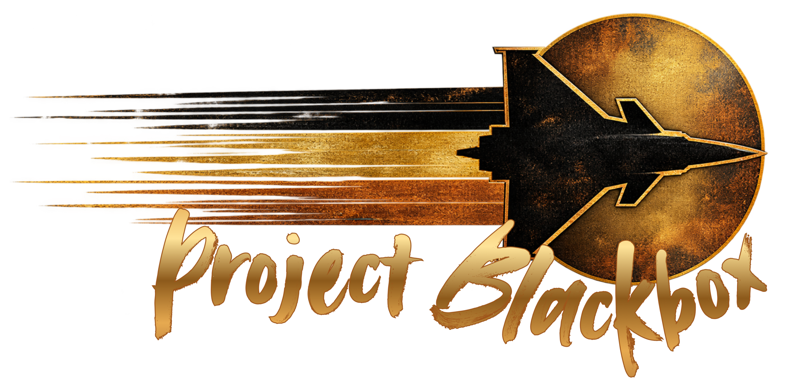 Project Blackbox